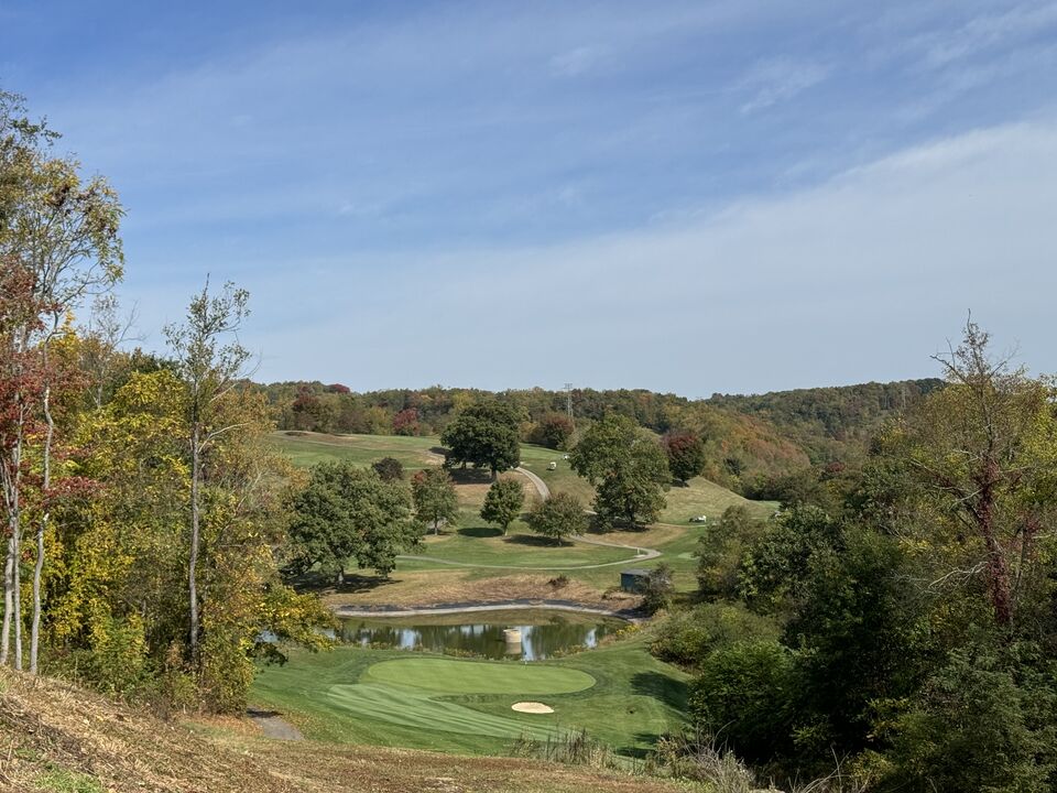 Rolling wooded country with a green and a pond below