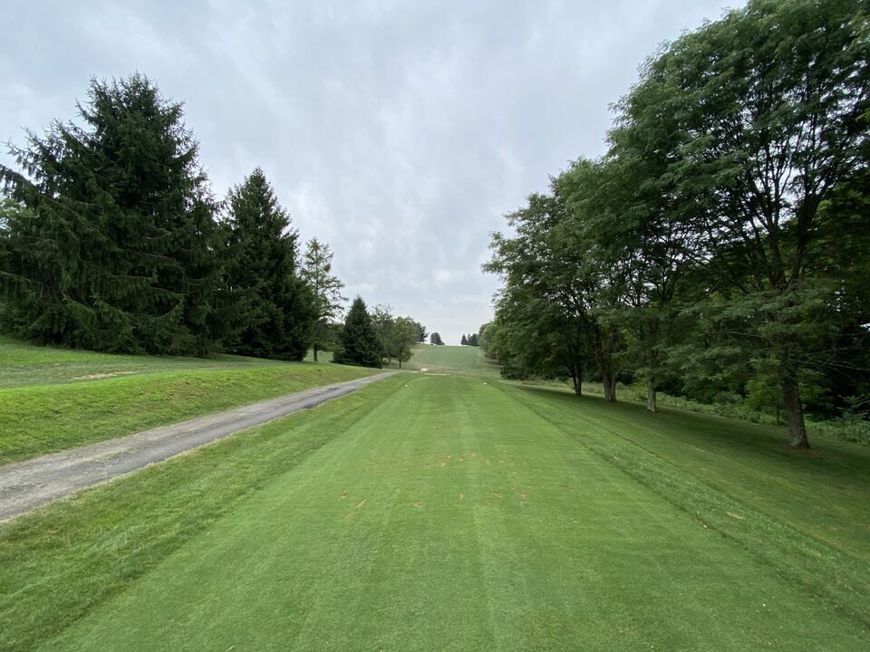 A straight fairway lined with mature trees